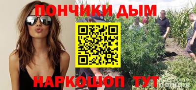 наркотики Новодвинск